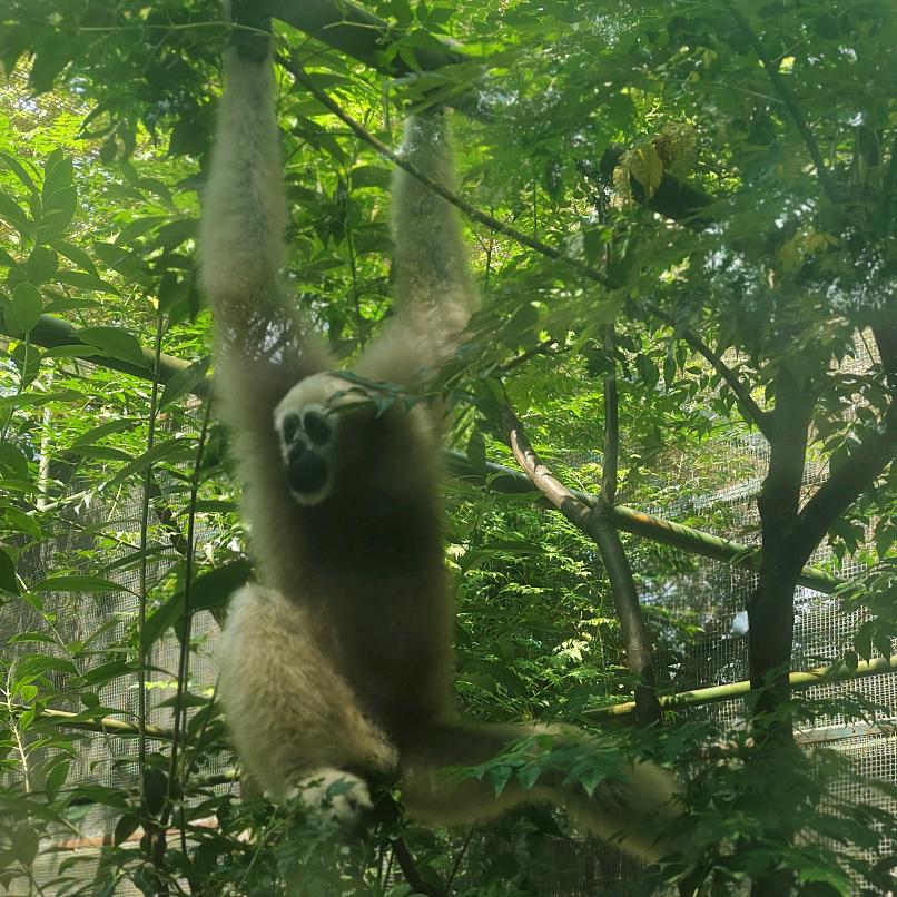韩衣社(壆岗盛芳园南区店)晨子-于俩