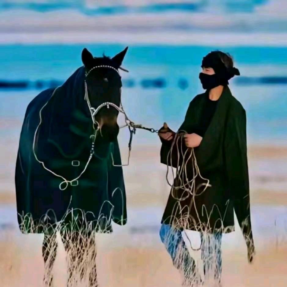 ༺爱🐎马༻