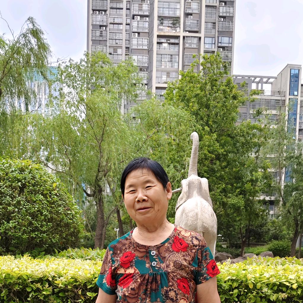 苗姐