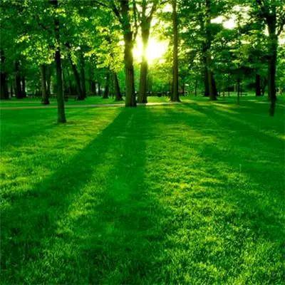 欧雅服饰（批发人造棉家居服）