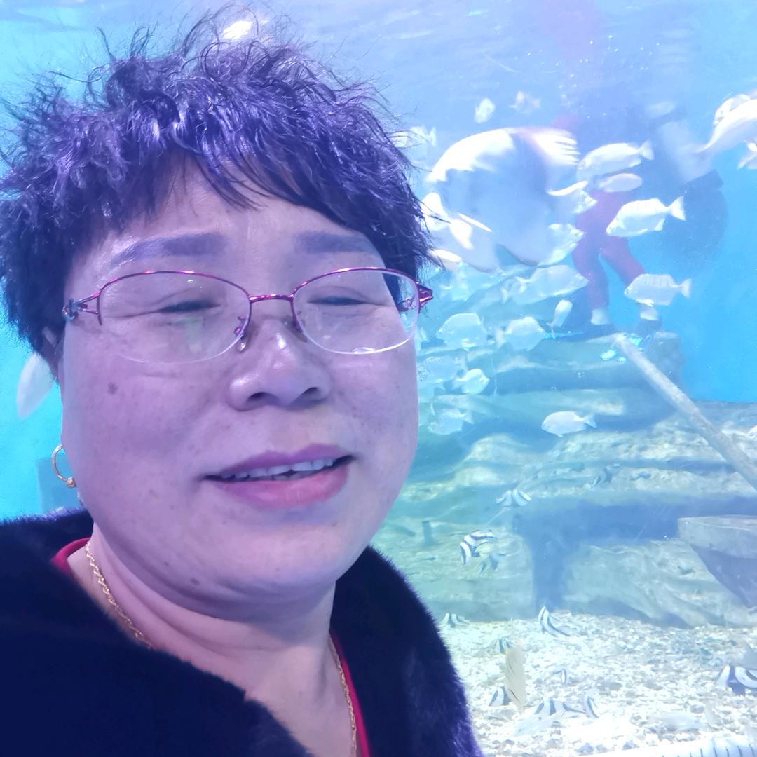 安安奶奶