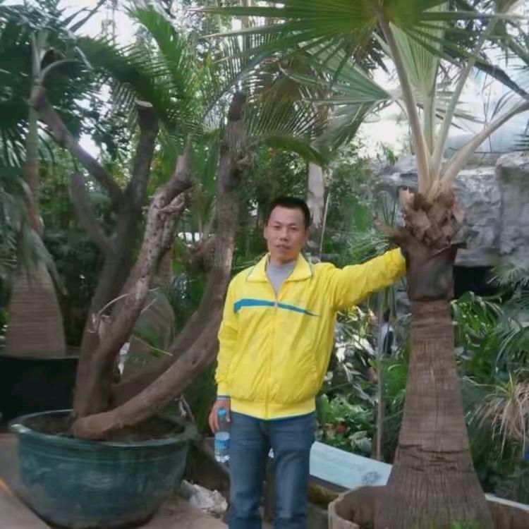 永锋餐饮服务