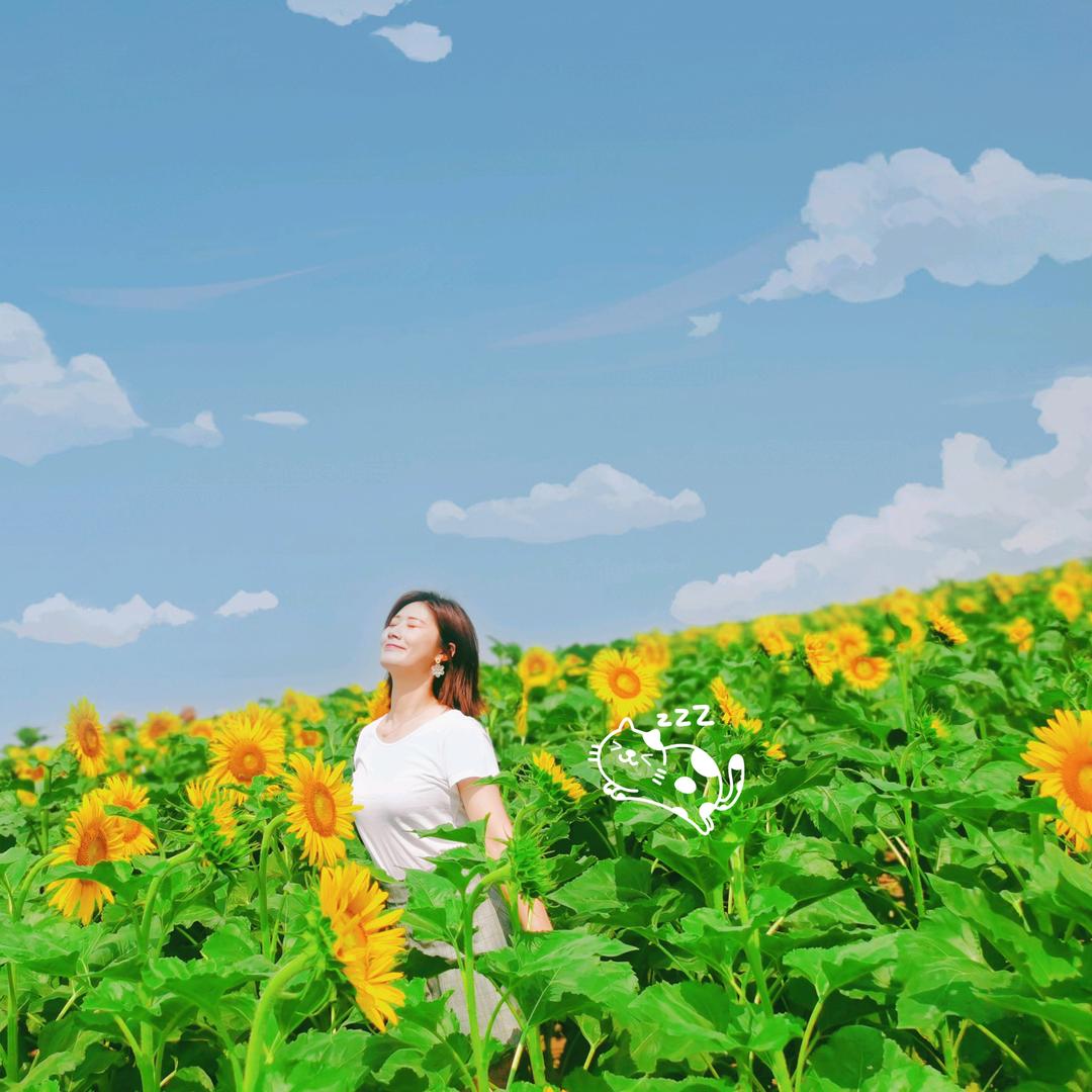 小花儿🌷