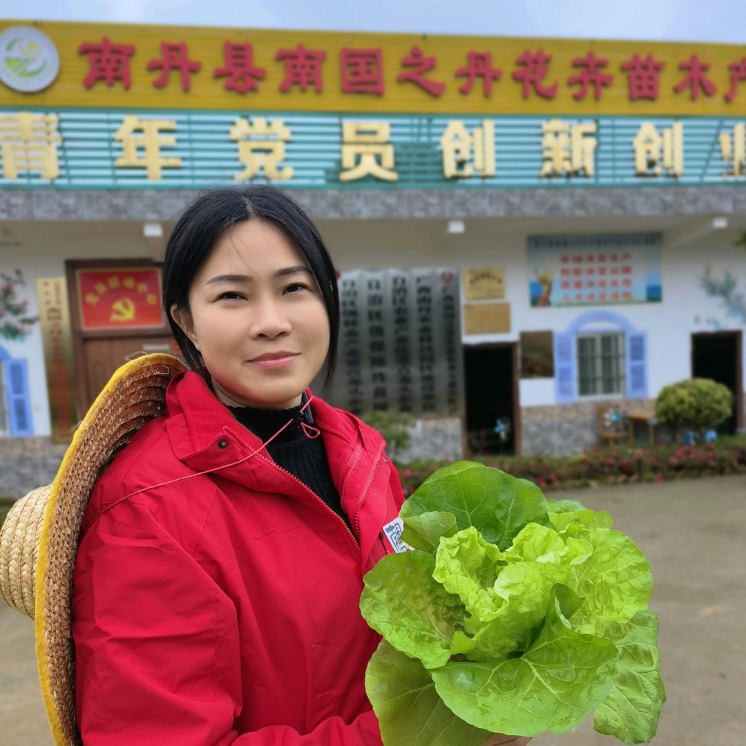 造林苗西施七姐