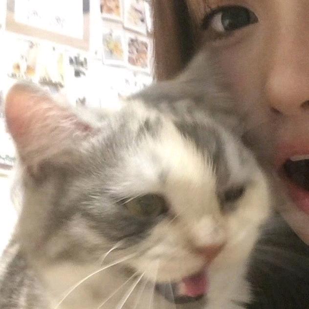 即见春山