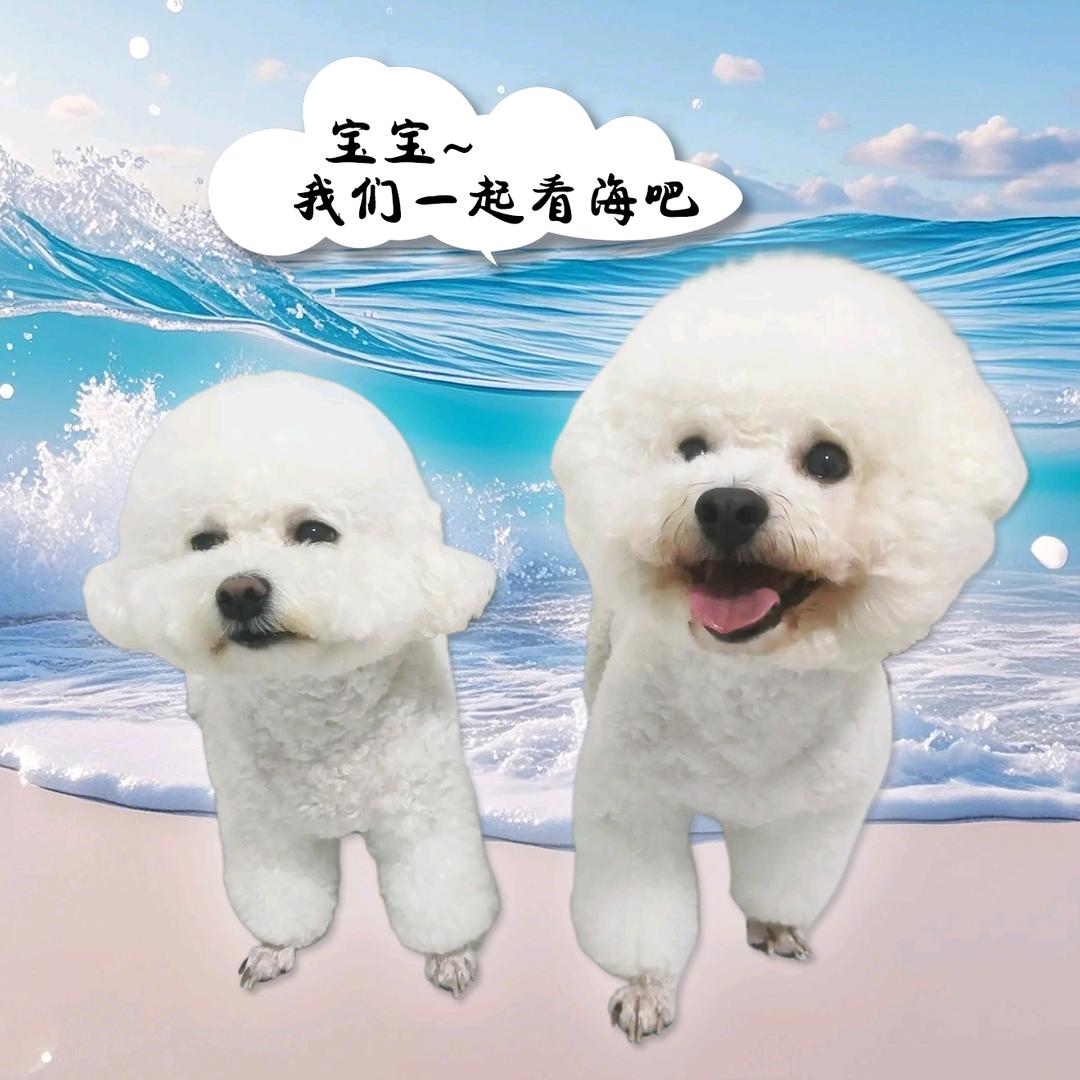 七缘