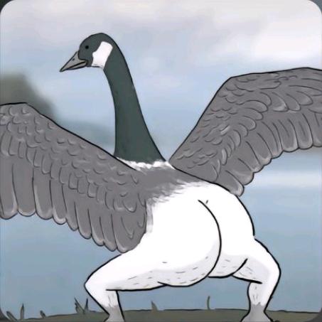 我的青春不太冷