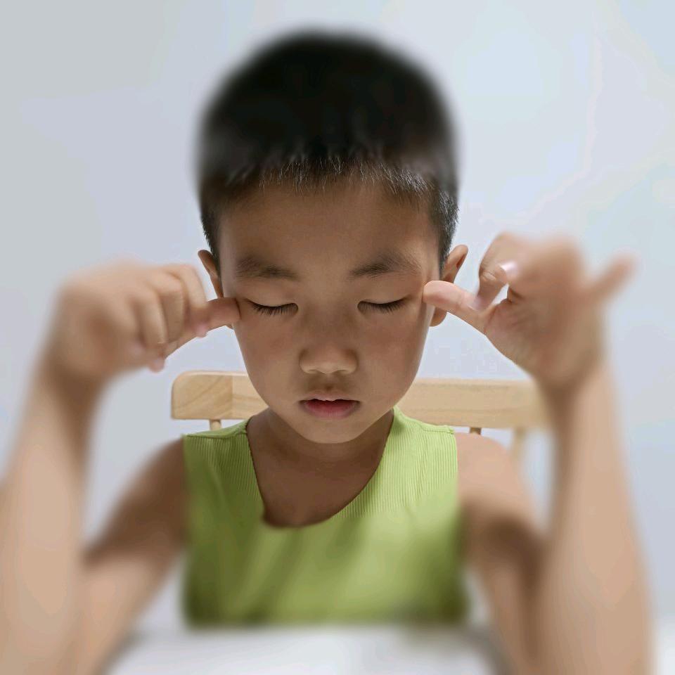 米小禾(韭菜盒子)
