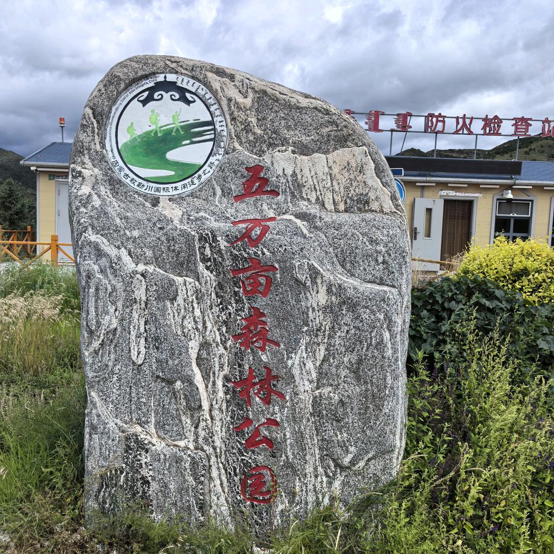 墨舞拙人