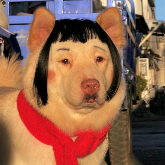 是刘索隆呀