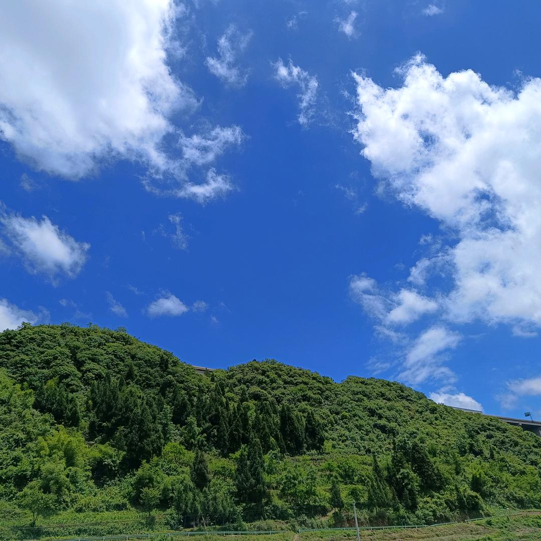 故迟