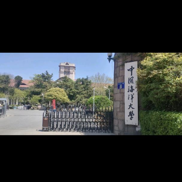 高质量浓缩海水小球藻