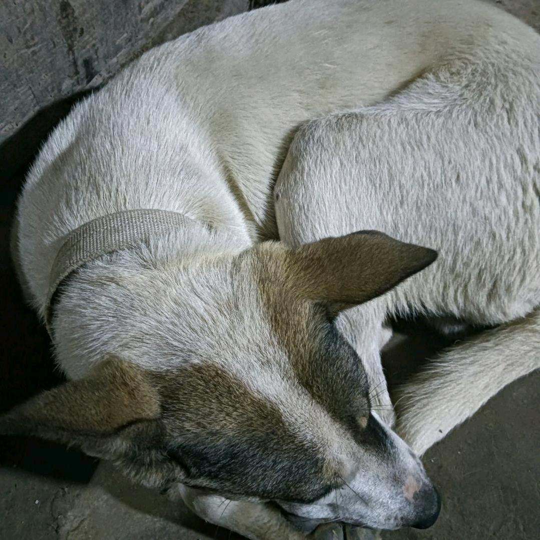 o(￣ヘ￣o#)w(ﾟДﾟ)w