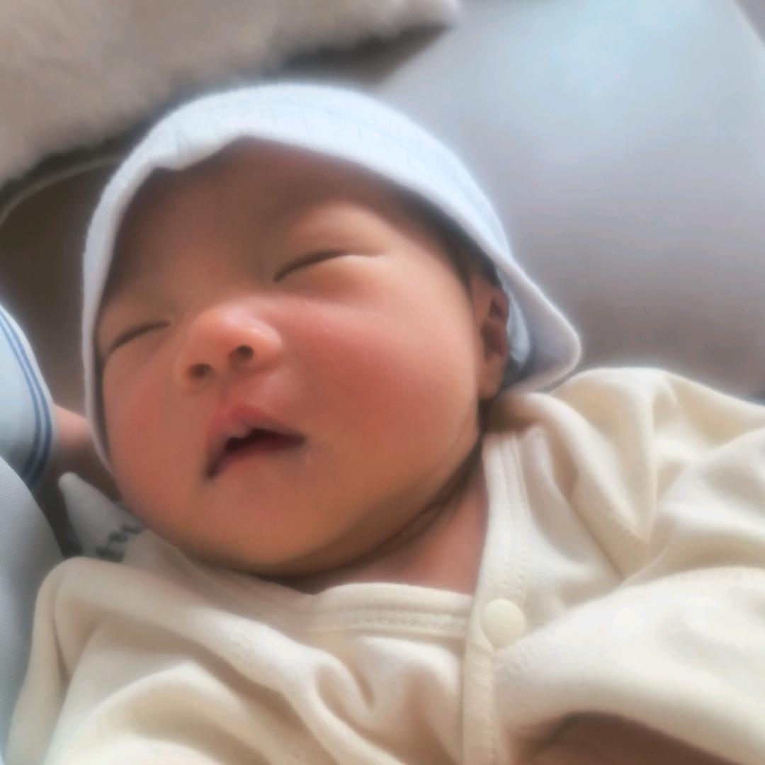 不吃猫的鱼