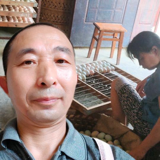 何抱鸡勇往直前