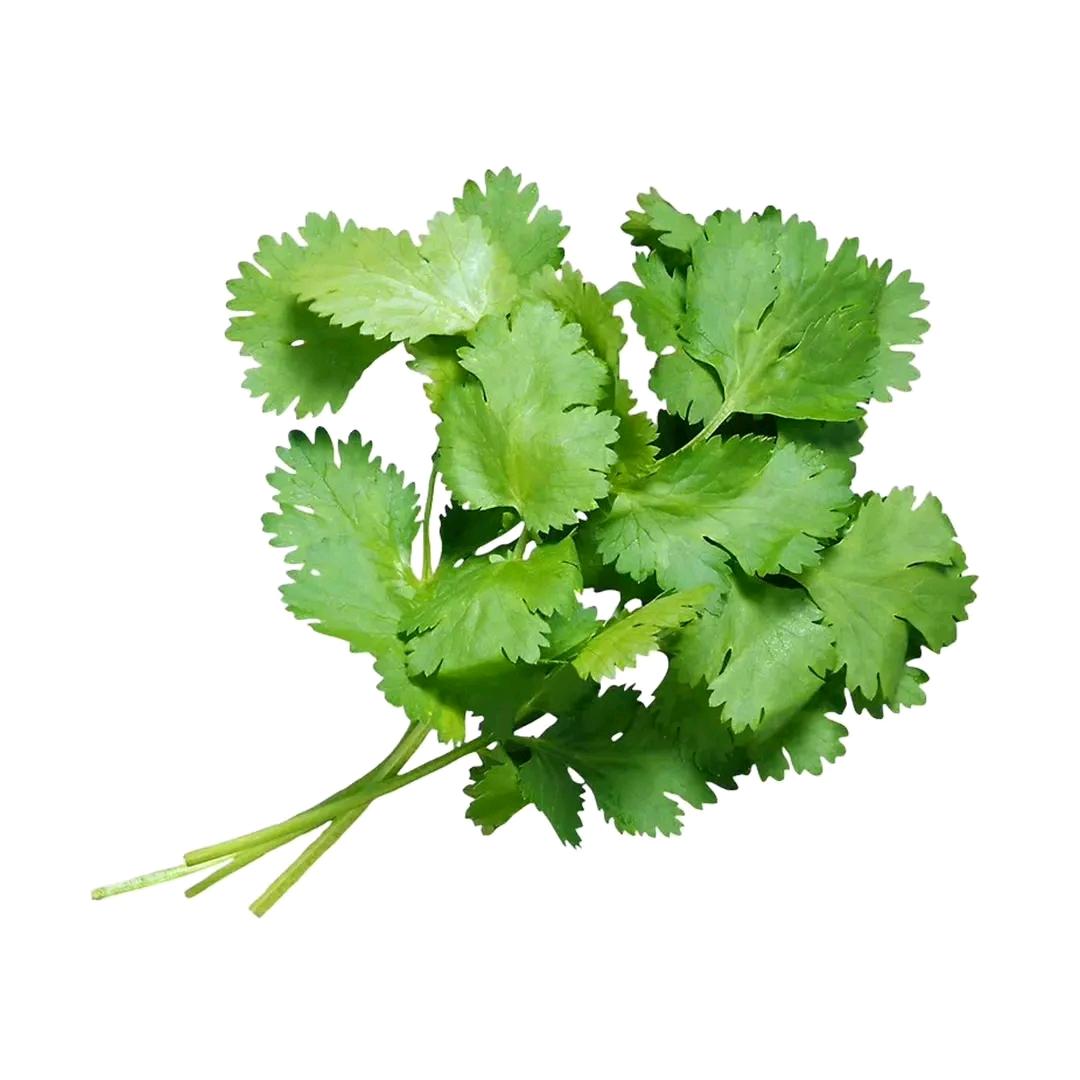 一根香菜