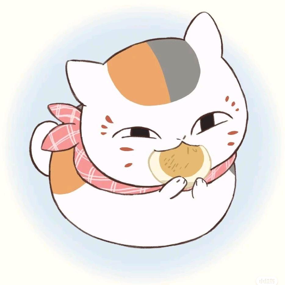 猫咪三三