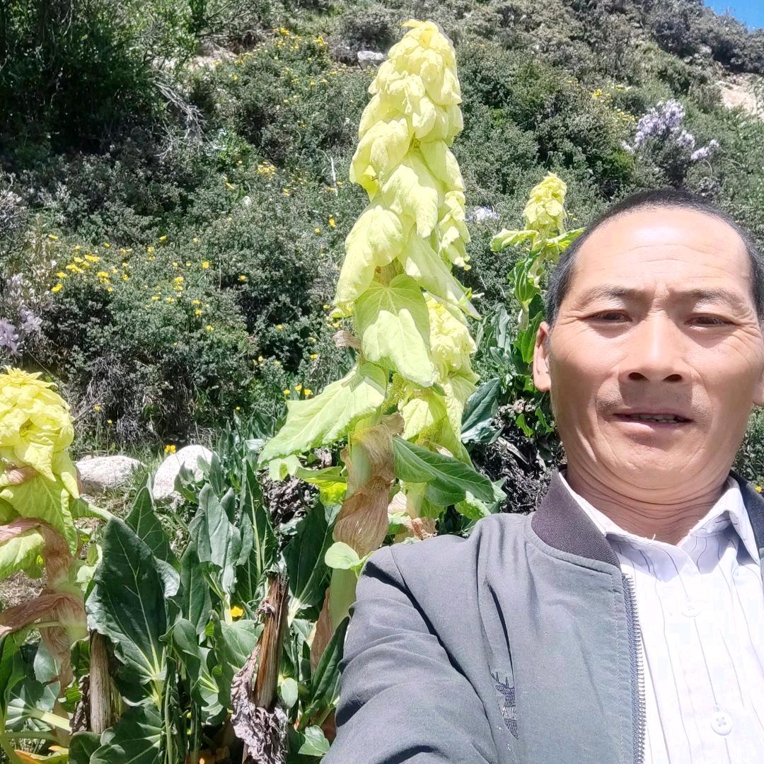 笑意哥