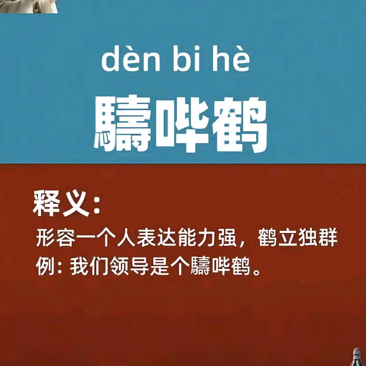 考拉。