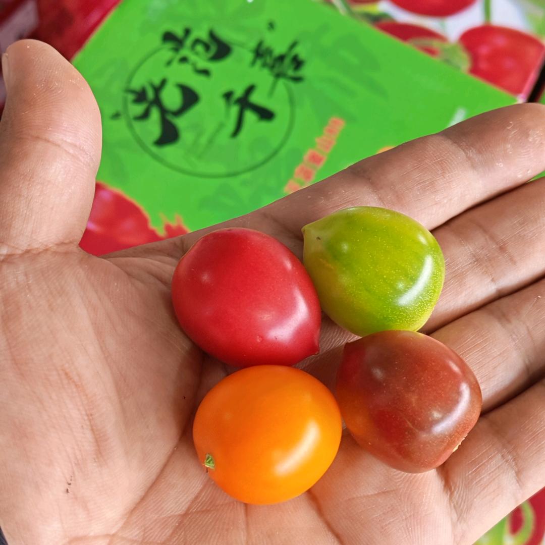 老范千禧