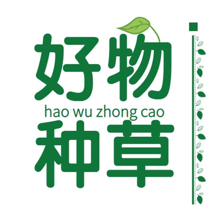 本章好物分享