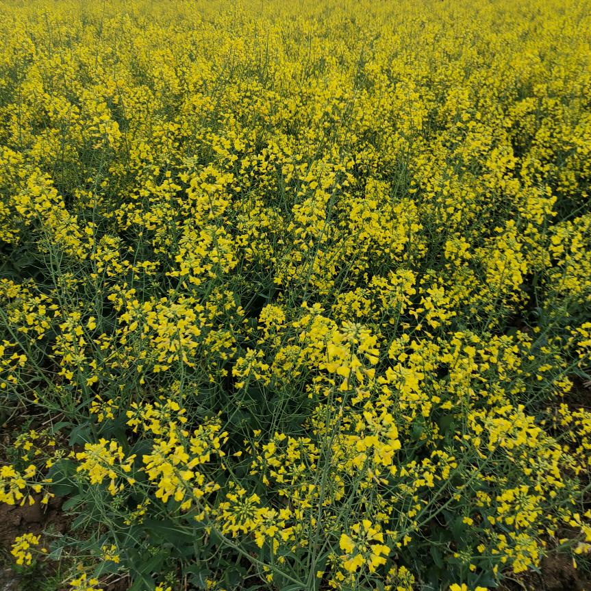 财源广进💰进来