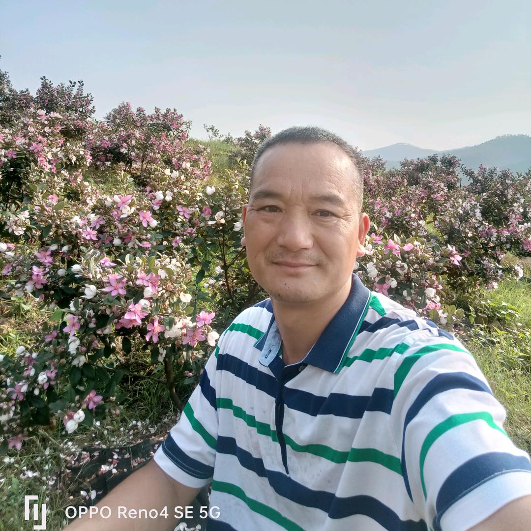 山里的十八哥