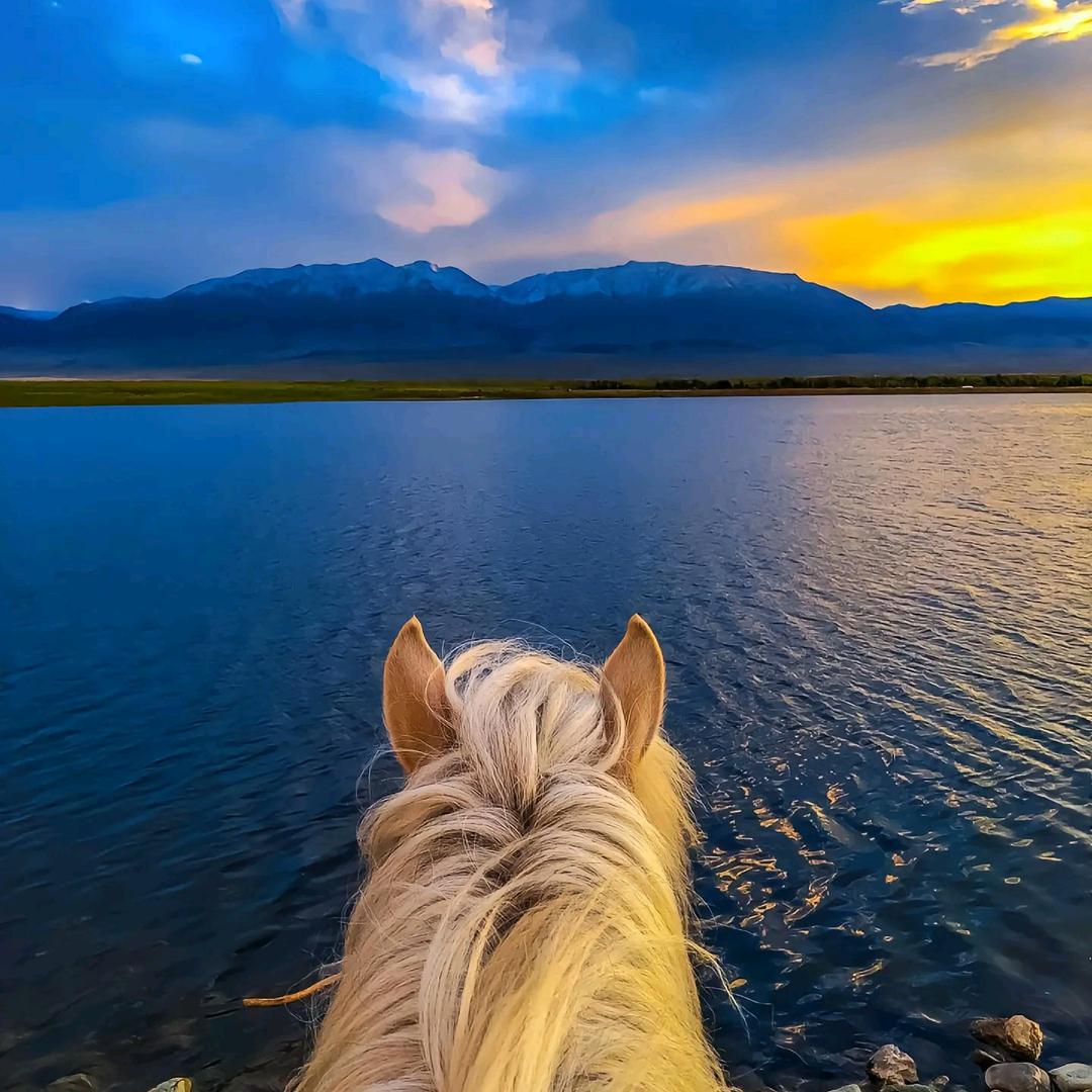 Мөнхбаяр🐎