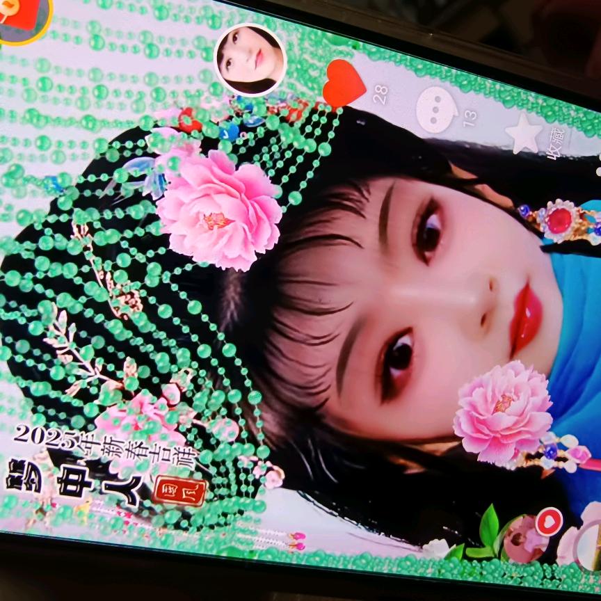 段秀梅6616