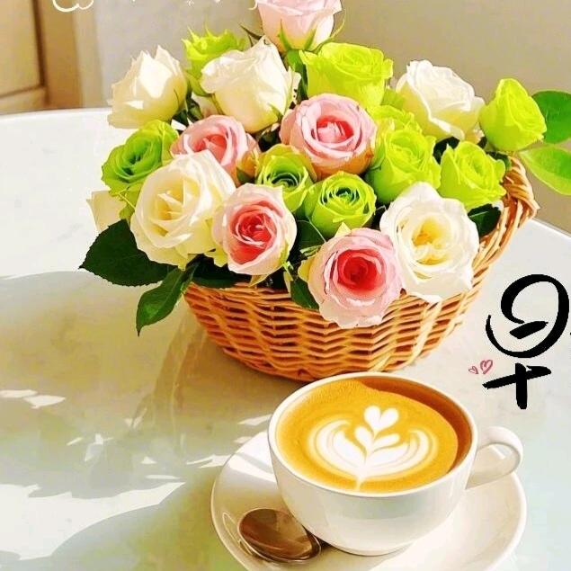 茉莉🐰🐰