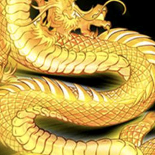 龙霸天下