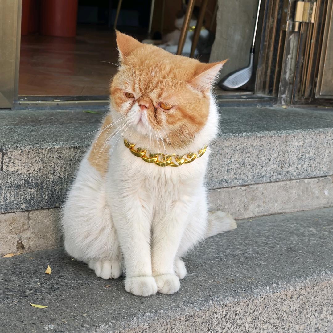 妞妞