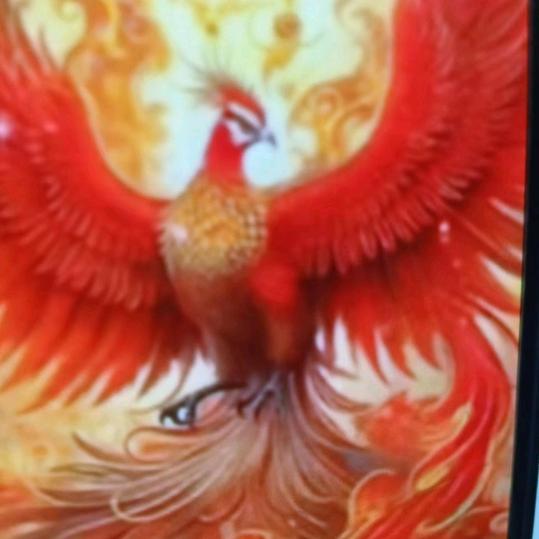 展翅飞翔