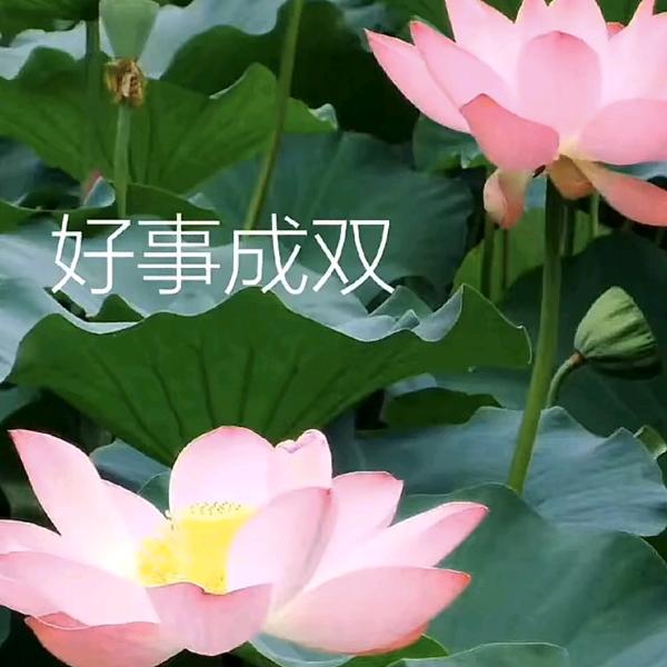 康桑贡勒