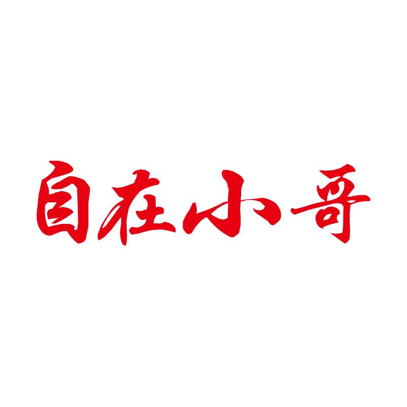 自在小哥食品旗舰店