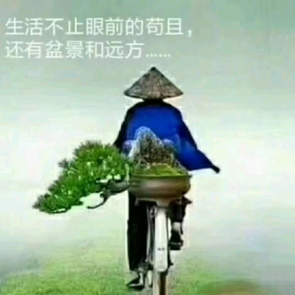 曹丙涛