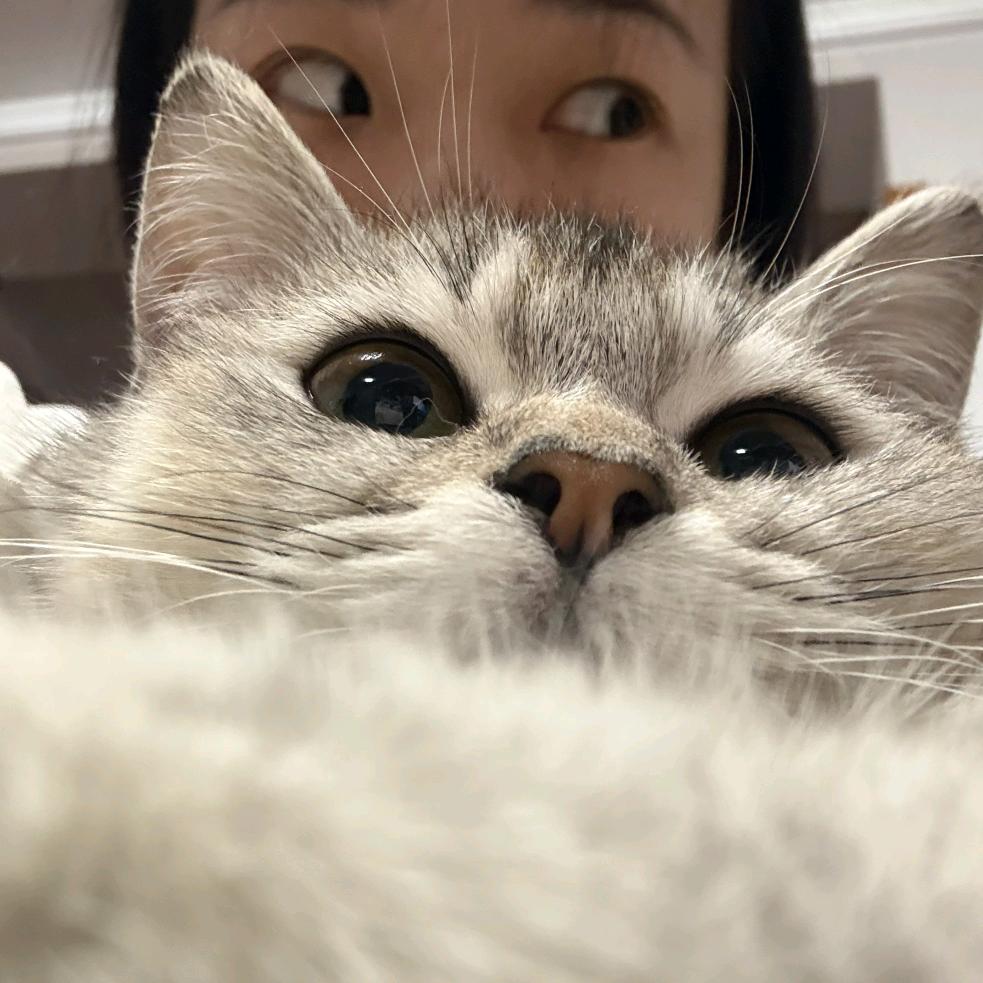 @孙