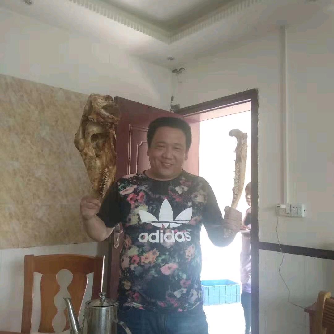 天地一念间