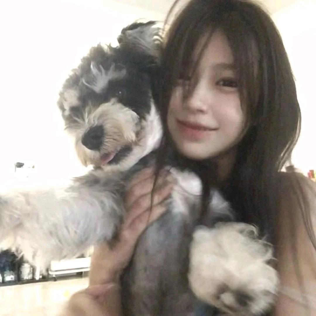 纯纯鱼冻
