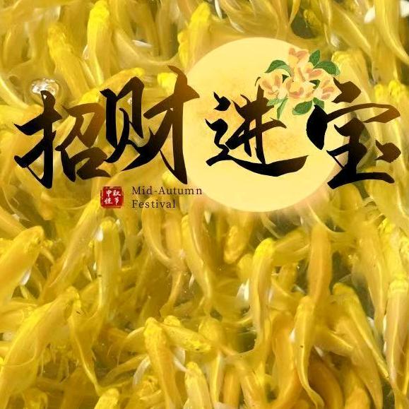 镇平县雷发水产养殖场