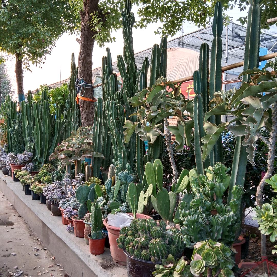 ⭐️ 星星之火🔥