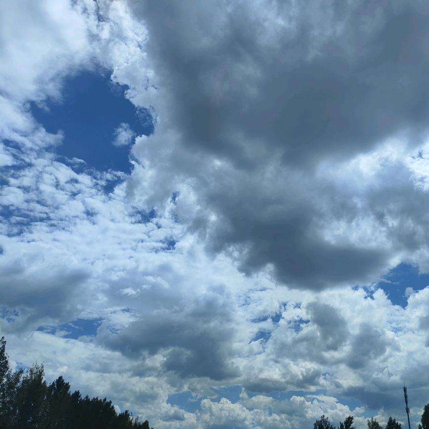 ᴸˣᶻ   老四_⁻