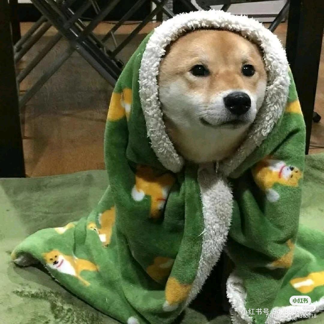 骄阳^O^