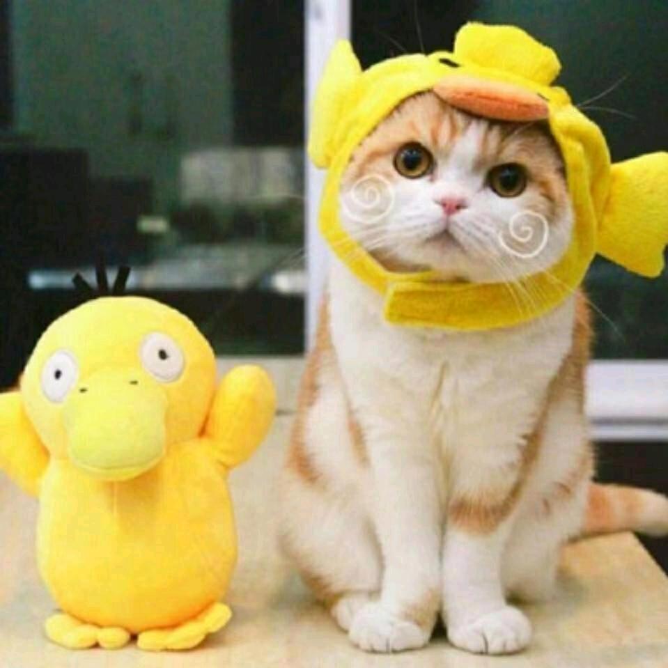 平安健康+快乐！
