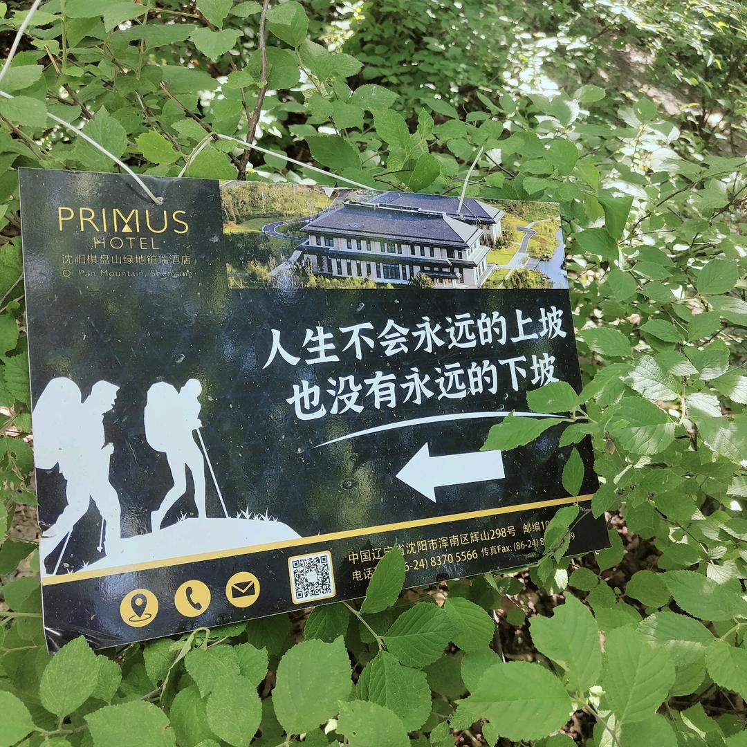 玲