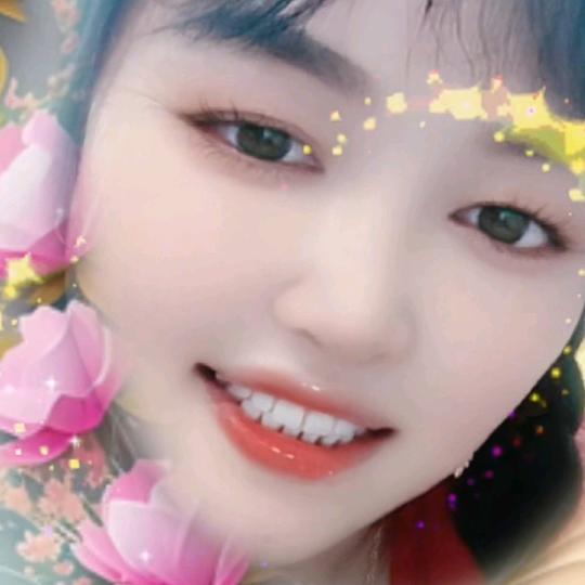 幸福🥰的小菊花