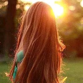 你若盛开，清风自来