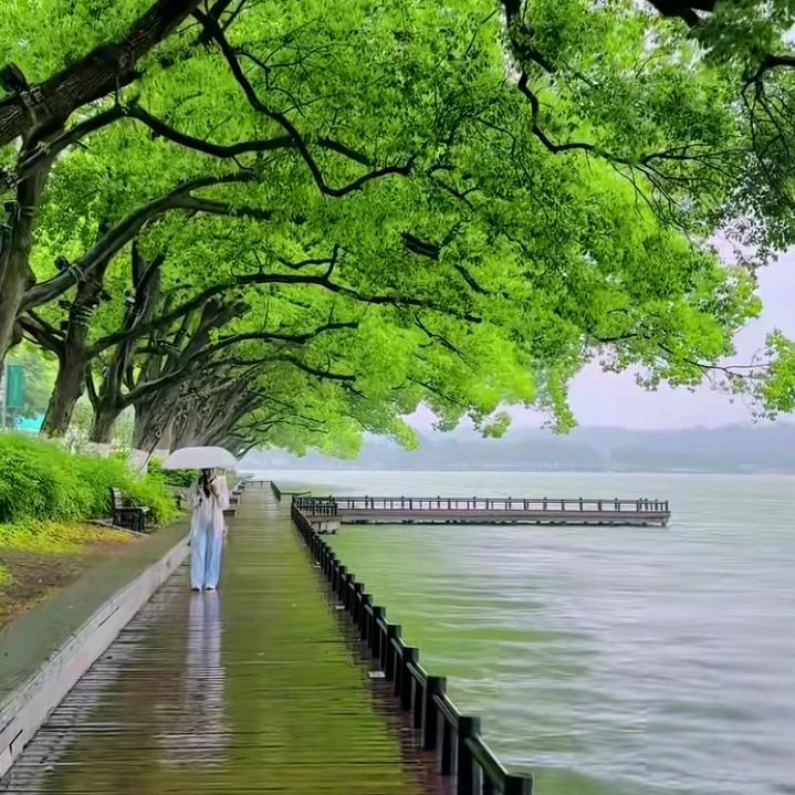 Yongjunzhang室内装修