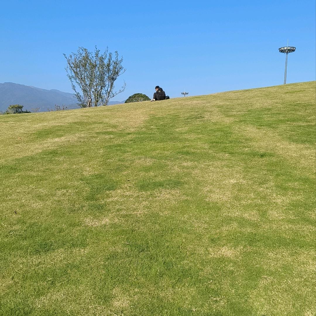 风欲静