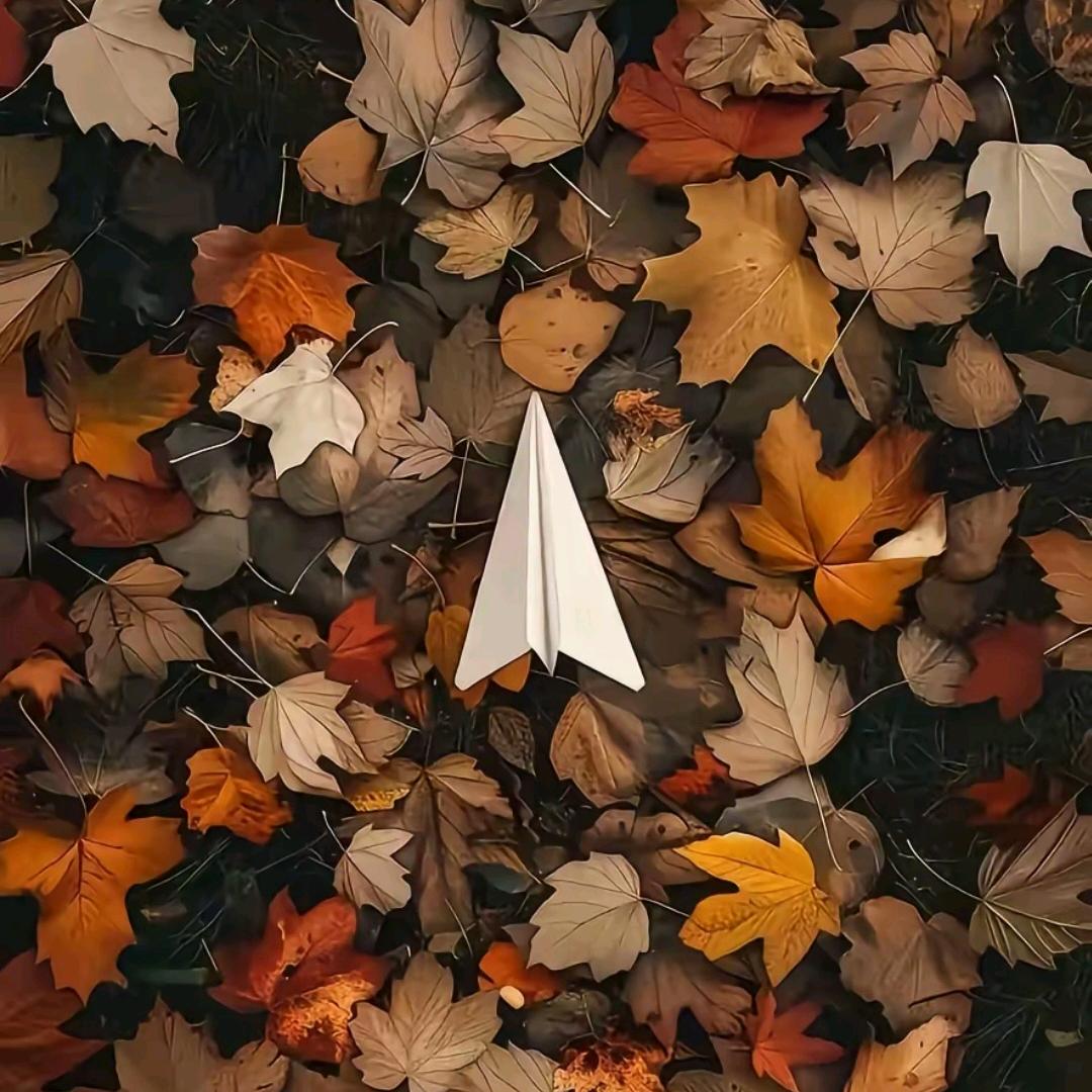 ✨
